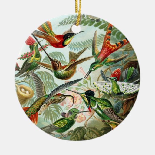 Trochilidae Hummingbirds, Ernst Haeckel Christmas Ornaments