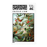 Trochilidae Hummingbirds, Ernst Haeckel Stamps