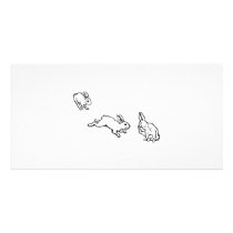 TROIS LAPINS photo cards by wolfandbird TROIS LAPINS photo cards