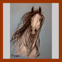 "Trojan" by Susan Bergstrom posters