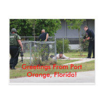 Troll City Postcard