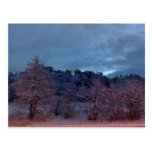 Troll morning post cards