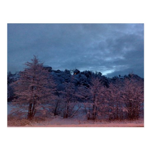 Troll morning post cards