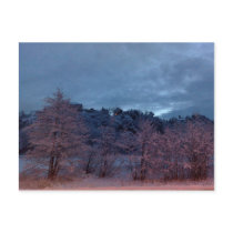 Troll morning postcards