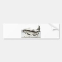 Trolling for a snack bumper stickers