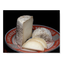 Tronchetto Cheese posters by lifesphere Tronchetto Cheese posters
