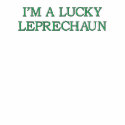 TROOPING FAIRIES- LEPRECHAUNS - JACKET embroidered shirts
