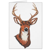 Trophy Buck Rack Mount cards