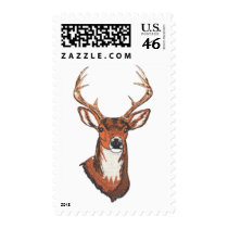 Trophy Buck Rack Mount Postage Stamps