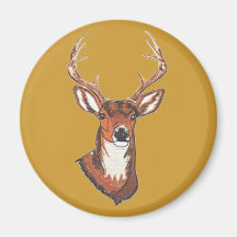 Trophy Buck Rack Mount Refrigerator Magnet