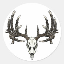 Trophy Whitetail buck Sticker