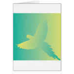 Tropic Bird Gradient cards