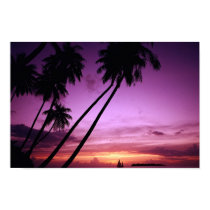 Tropic Sunset posters