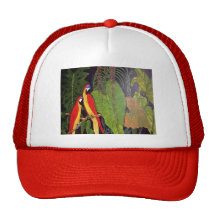 TROPICA PARROTS HAT