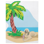 Tropical Afghan Hound flyers