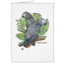 Tropical African Greys Greeting Cards
