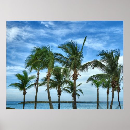 Tropical Afternoon Poster print