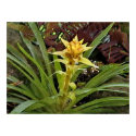 Tropical amarillo flower posters