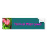Tropical Anthurium Bumper Sticker