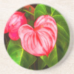 Tropical Anthurium Beverage Coaster