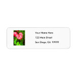 Tropical Anthurium Custom Return Address Label