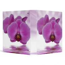 Tropical Aurora Binders