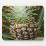 Tropical Backyard Pineapple Mousepad