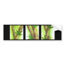 Tropical Bamboo Painting - Multi Bumper Sticker
