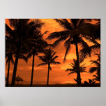 Tropical Beach at Sunset Poster
