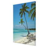 Tropical Beach Canvas Print