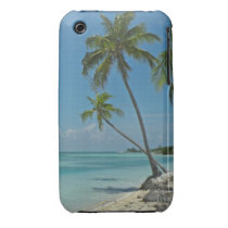 Tropical Beach iPhone3 Case-mate Case Iphone 3 Case-mate Case