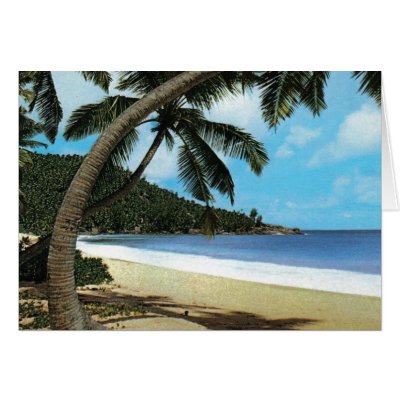 A Tropical Beach