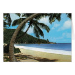 Tropical beach painting cards
