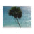 beach, vacation, tropical, palm, water, tulum,