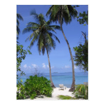 Tropical Beach Post Card