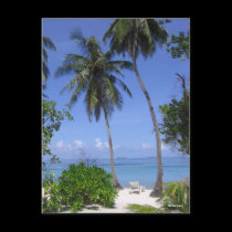 Tropical Beach postcards