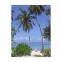 Tropical Beach postcards