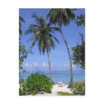 Tropical Beach postcards
