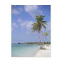 tropical beach postcard by loveinvented tropical beach postcard