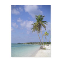 tropical beach postcard