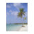 palm, trees, caribbean, ocean, beach, tropical,