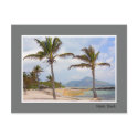 Tropical Beach postcard