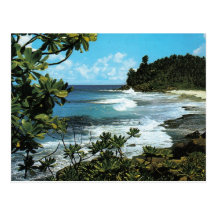 Tropical beach postcards