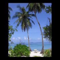 Tropical Beach posters