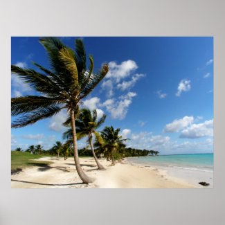 Tropical Beach Poster