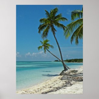 Tropical Beach Poster