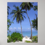 Tropical Beach Posters