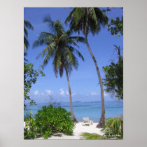 Tropical Beach Posters