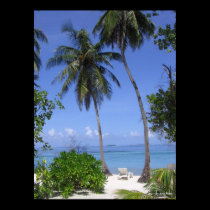 Tropical Beach posters