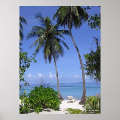 Tropical Beach posters